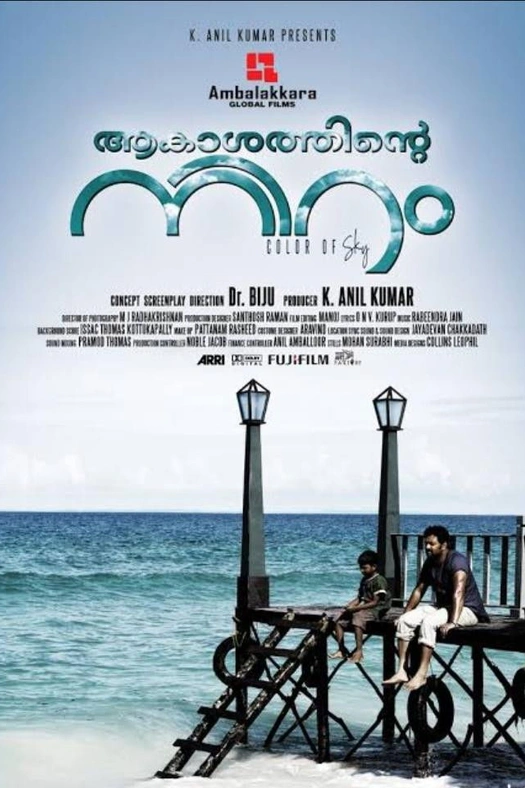 Color of Sky poster
