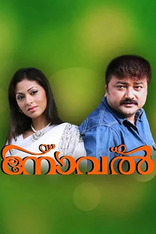 Novel poster