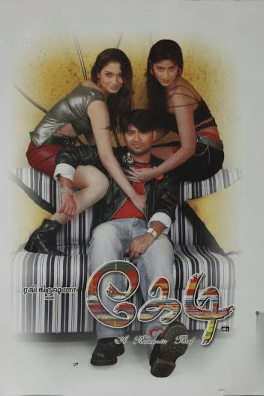 Kedi poster