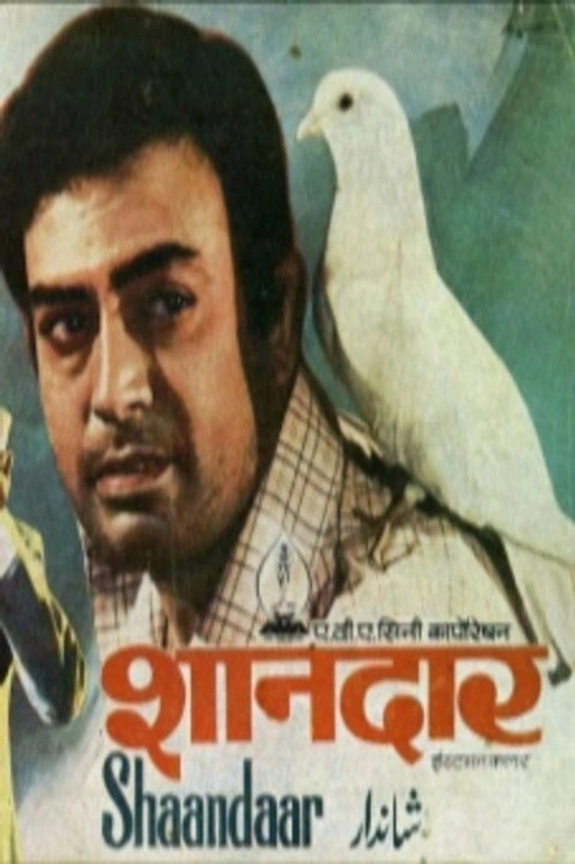Shandaar poster