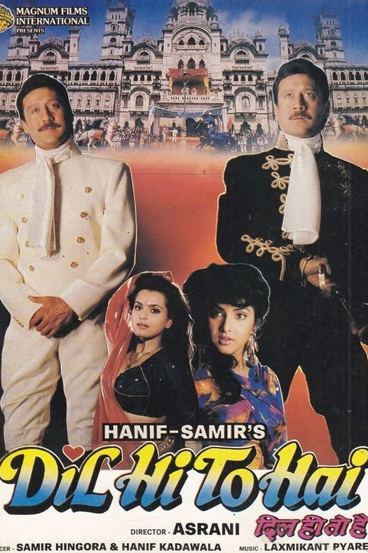 Dil Hi To Hai poster