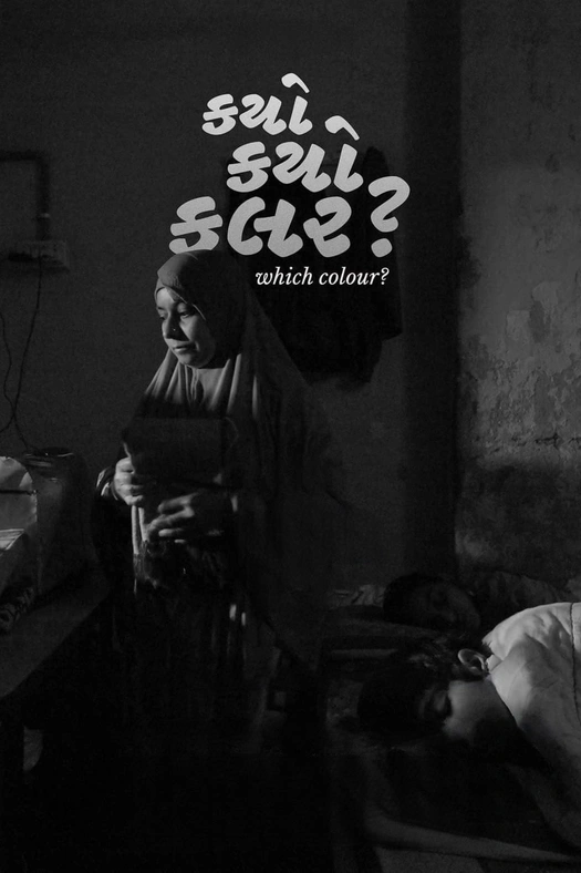 Which Colour? poster