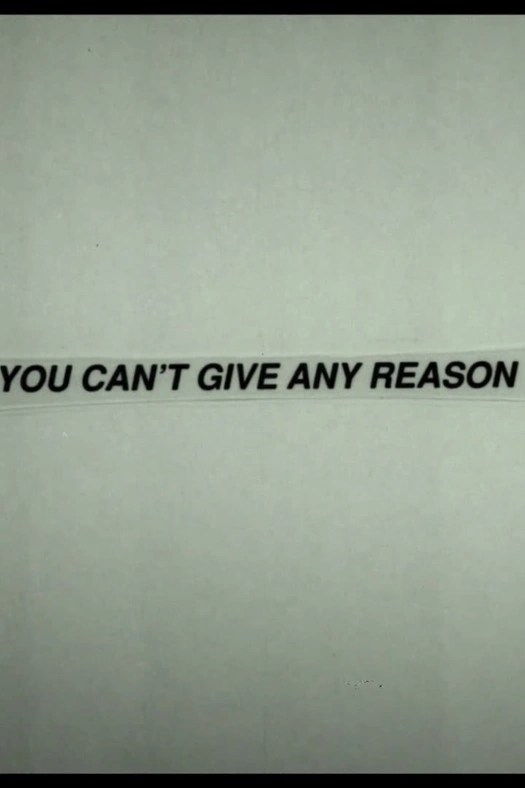 You Can't Give Any Reason poster