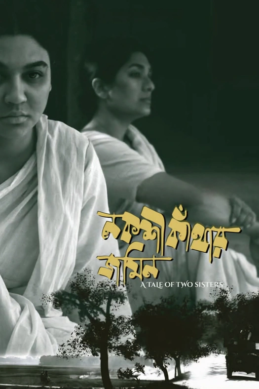 A Tale of Two Sisters poster
