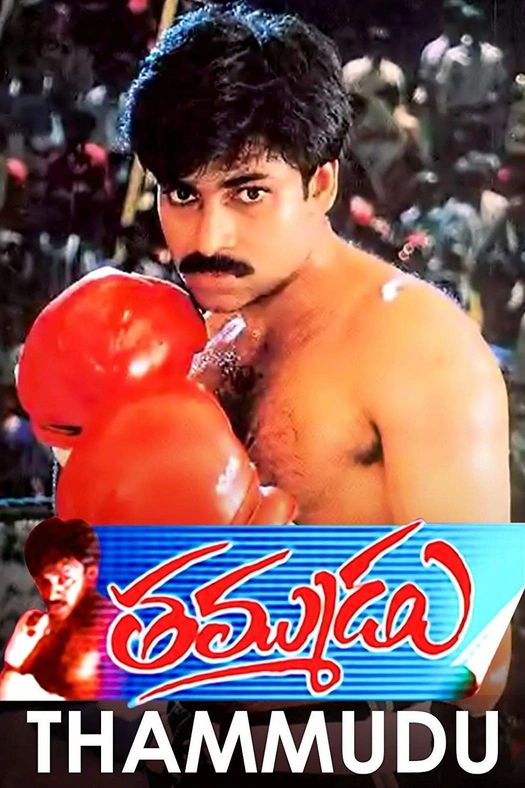 Thammudu poster
