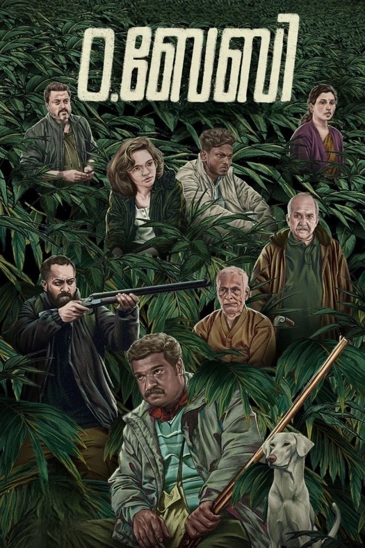 O.Baby poster