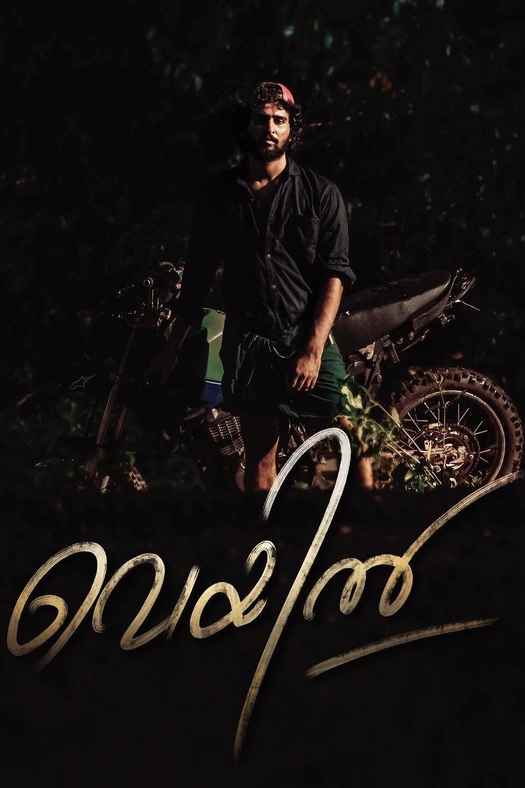 Veyil poster