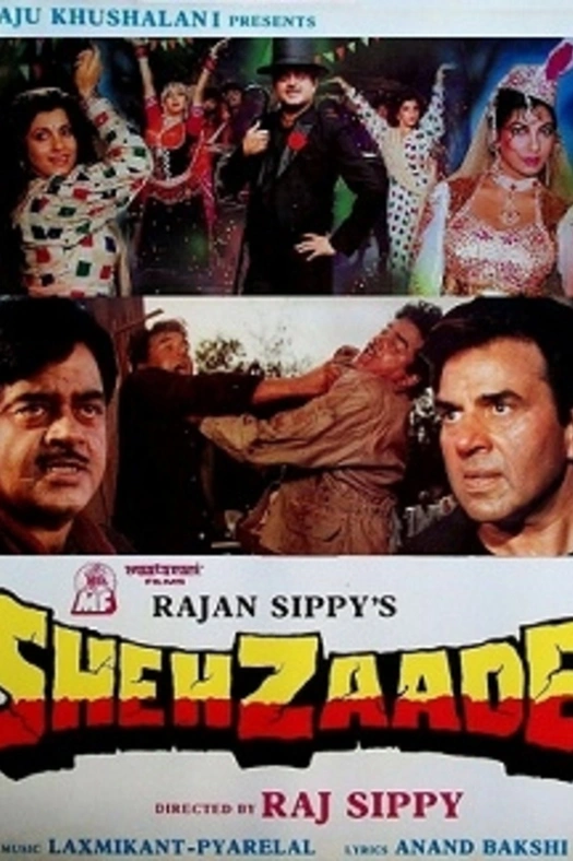 Shehzaade poster