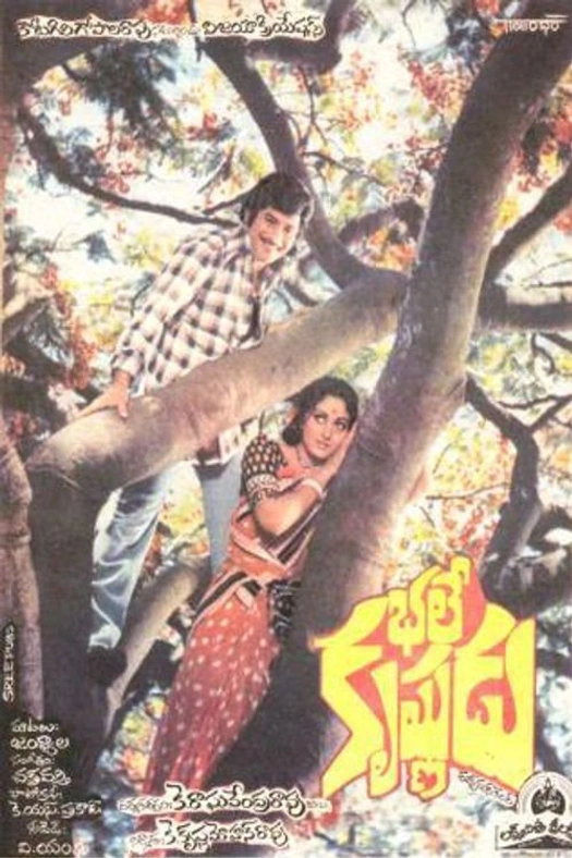 Bhale Krishnudu poster