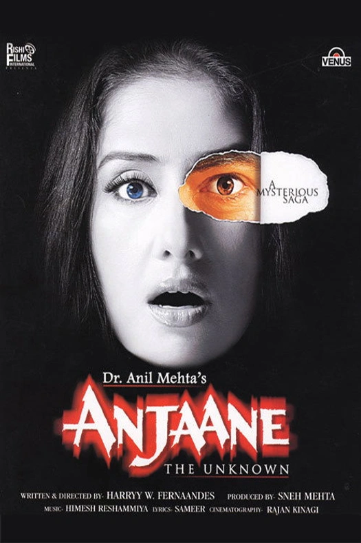 Anjaane: The Unkown poster