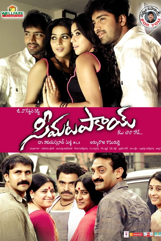 Seema Tapakai poster