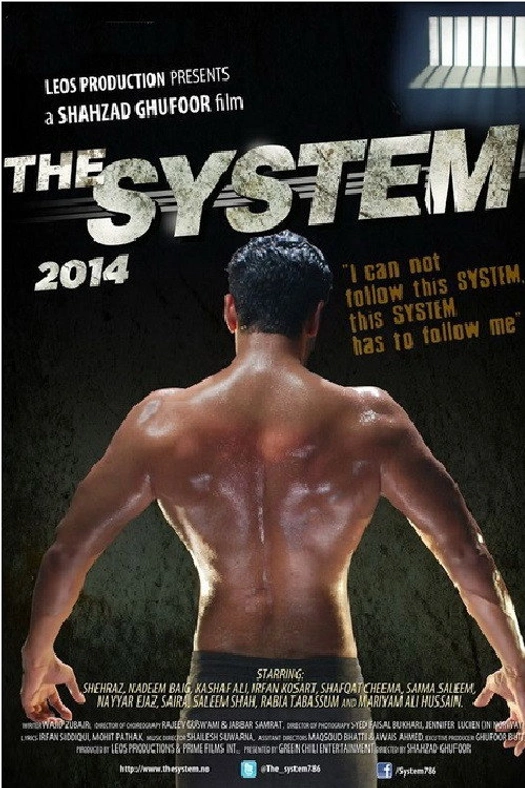 The System poster