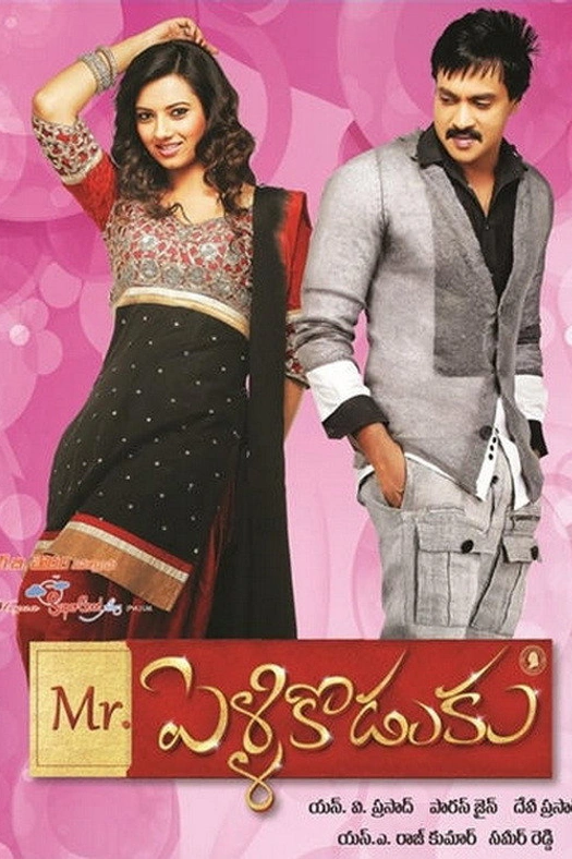 Mr.PelliKoduku poster