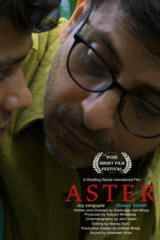 Aster poster