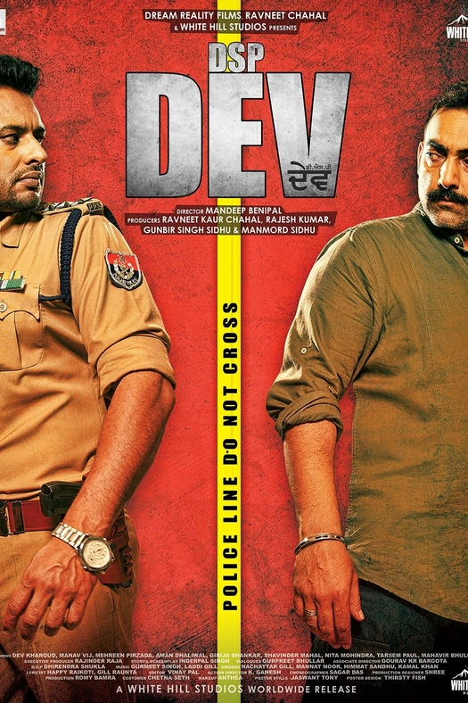 DSP Dev poster
