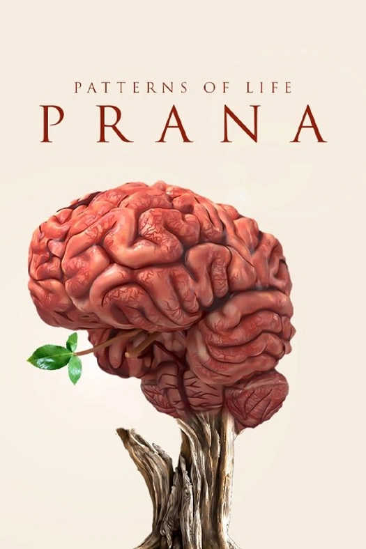 Patterns of life: Prana poster