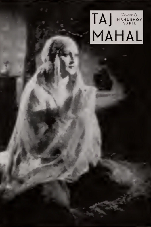Taj Mahal poster