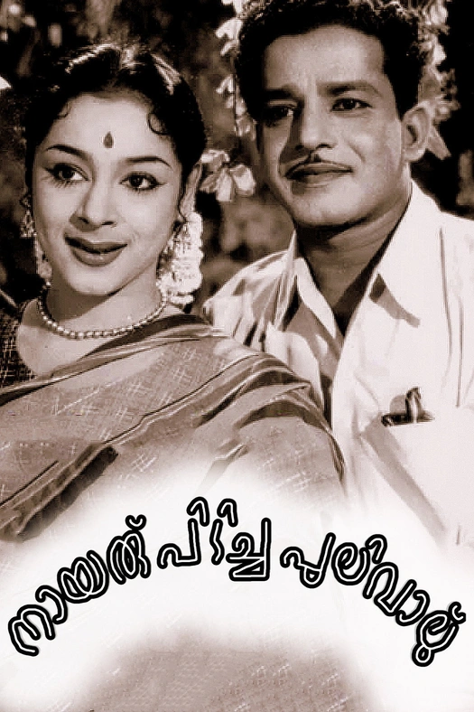 Nairu Pidicha Pulivalu poster