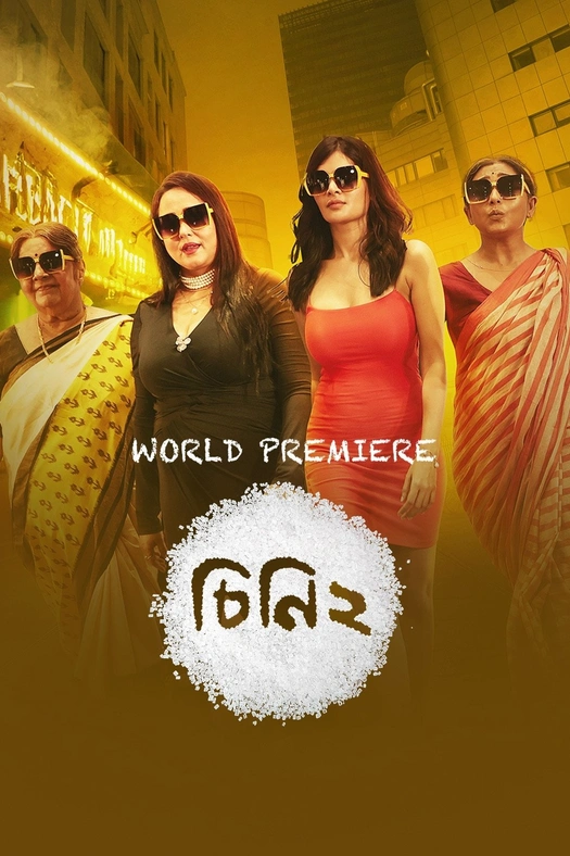 Cheeni 2 poster