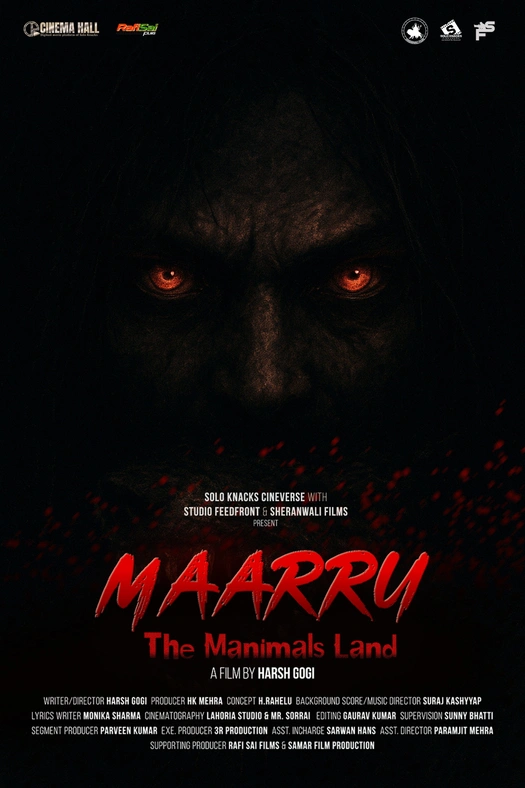 VANN TURN poster