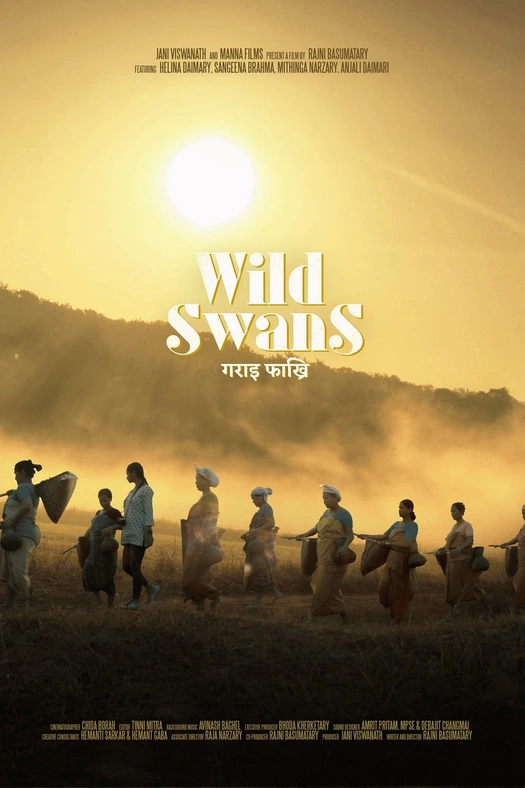 Wild Swans poster