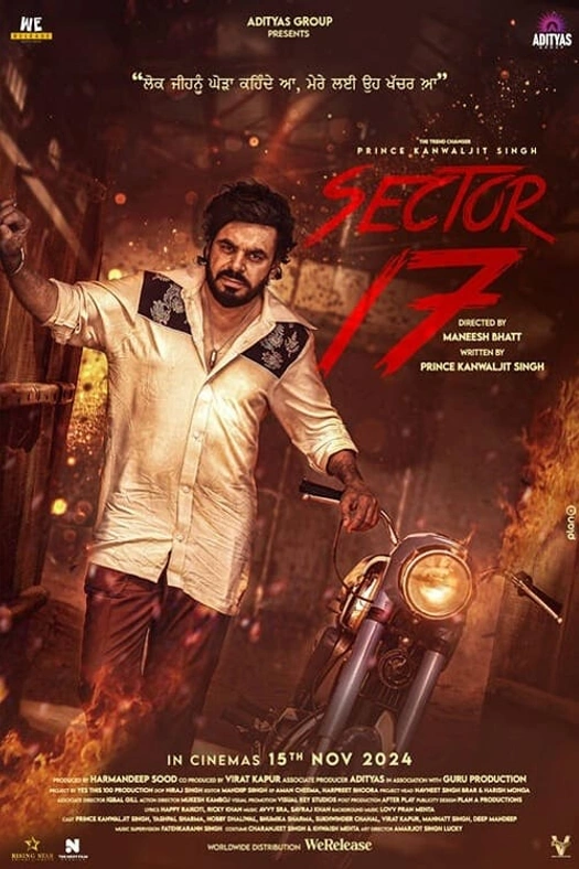 Sector 17 poster