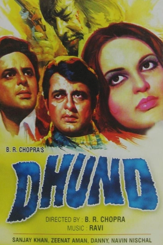 Dhund poster