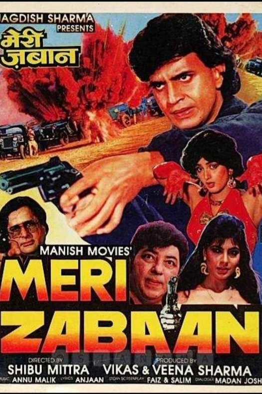 Meri zabaan poster