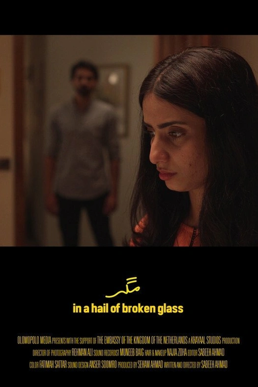 In a Hail of Broken Glass poster