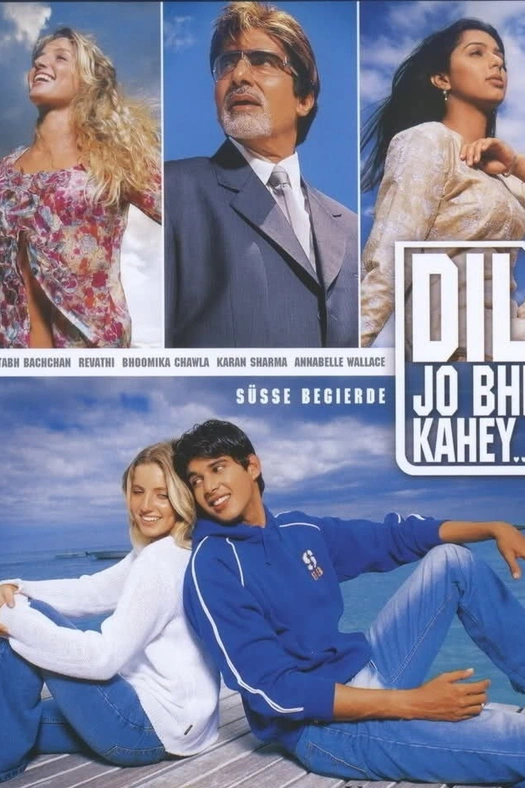 Dil Jo Bhi Kahey... poster