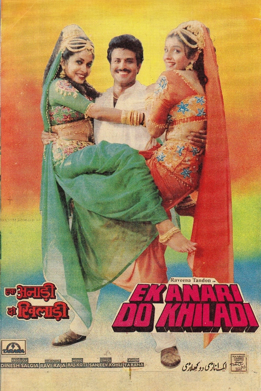 Ek Anari Do Khiladi poster