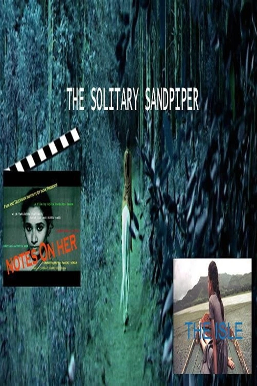 The solitary sandpiper poster