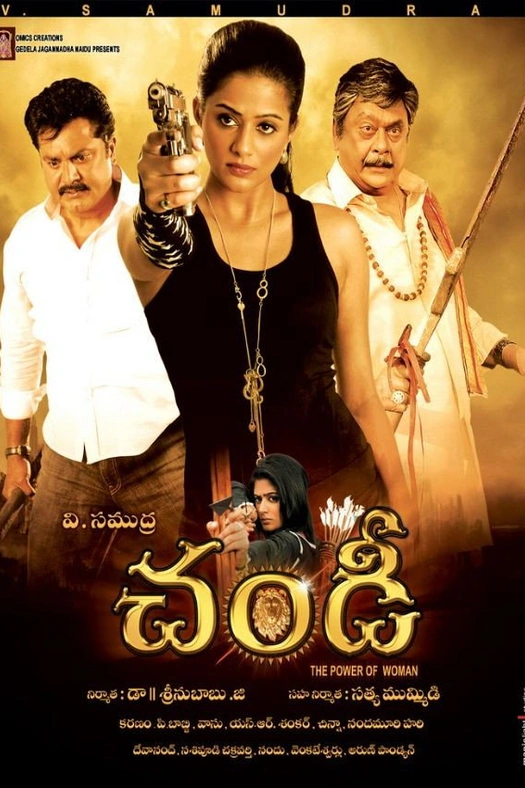 Chandi: The Power of Woman poster