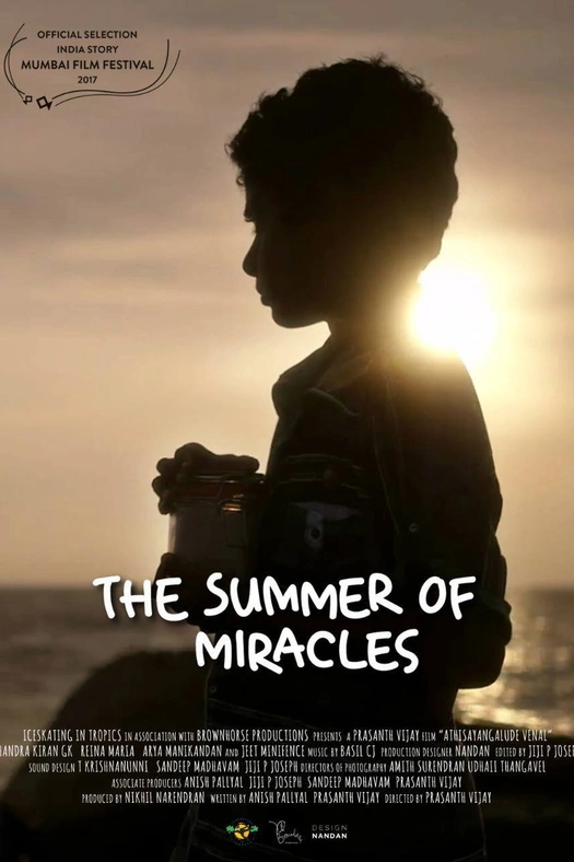 The Summer of Miracles poster