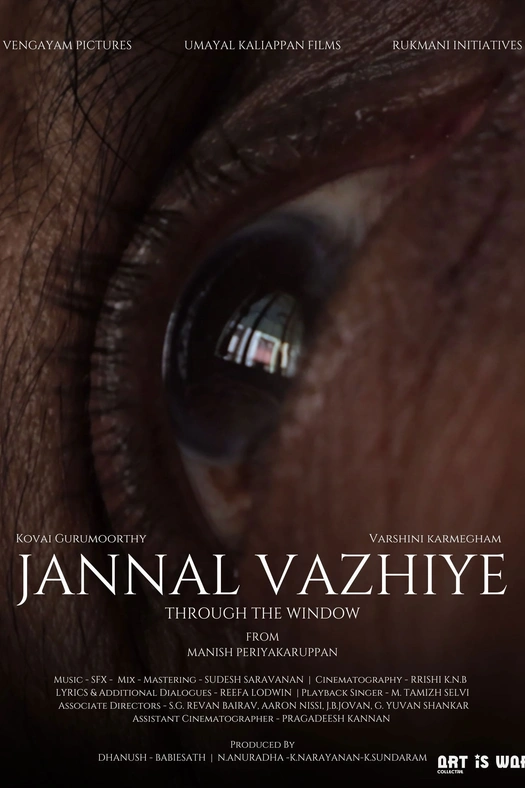 Through the window poster
