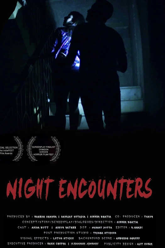 Night Encounters poster