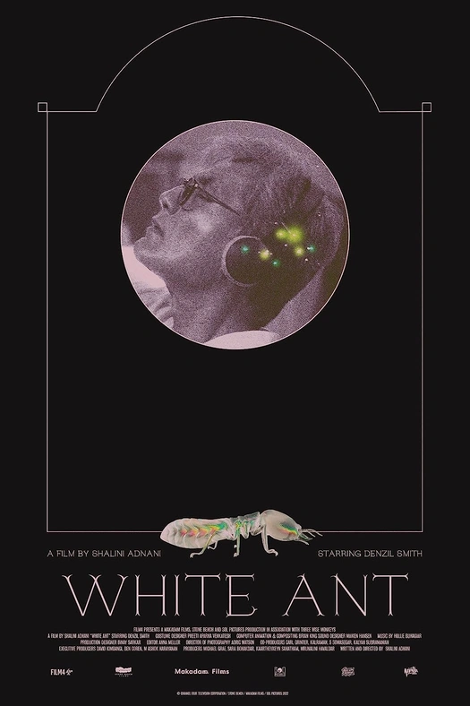 White Ant poster