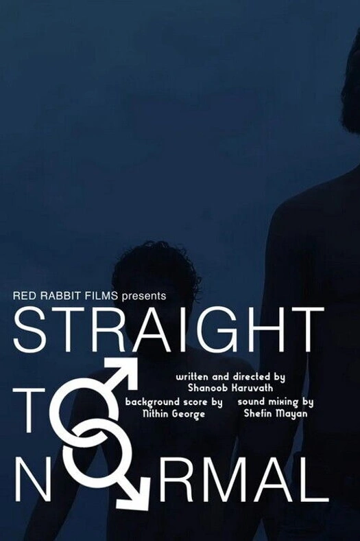 Straight to Normal poster