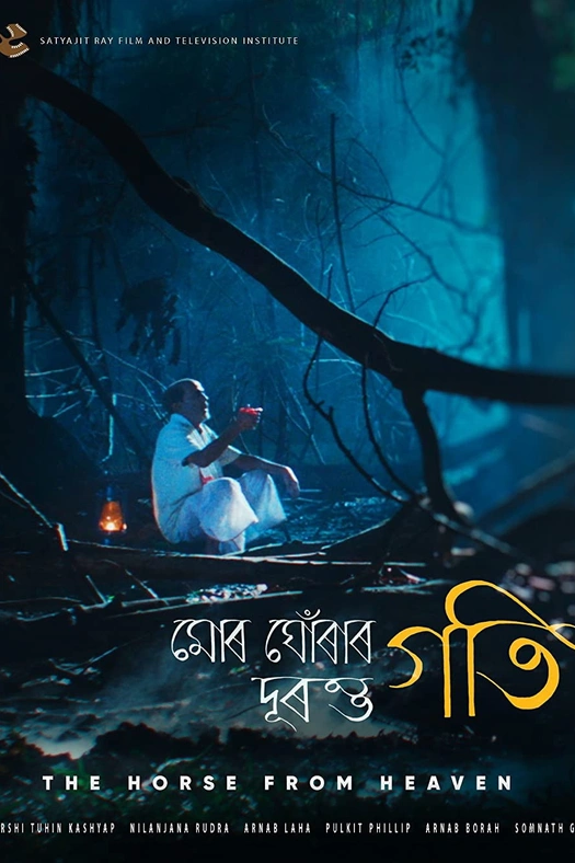The Horse From Heaven poster