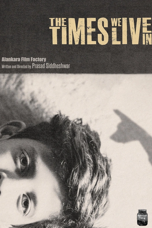 The Times We Live In poster
