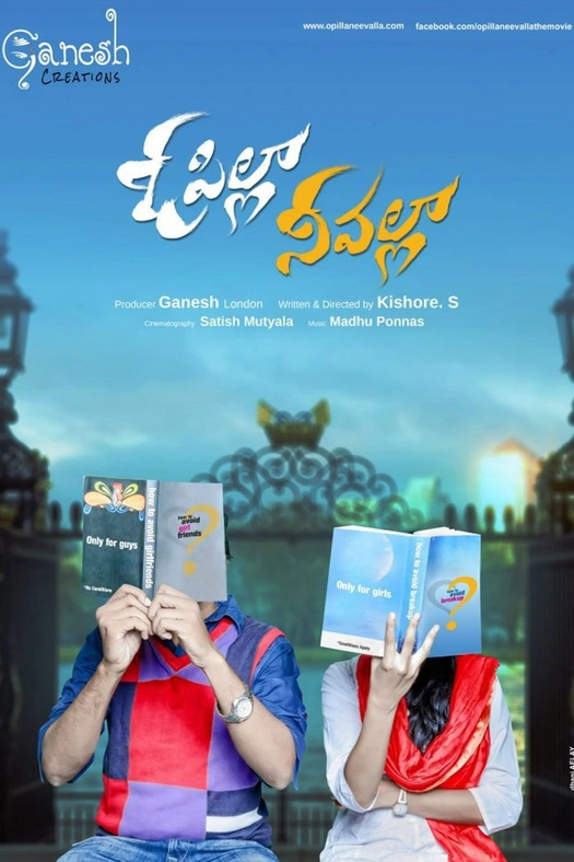 O Pilla Nee Valla poster