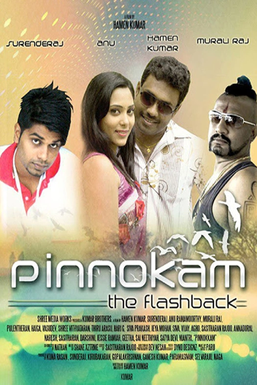 Pinnokam poster