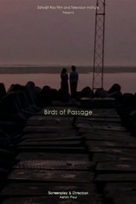 Birds Of Passage poster