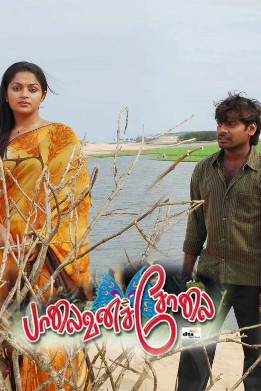 Palaivana Solai poster
