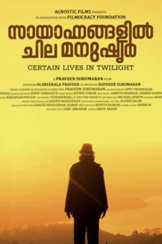 Certain lives in Twilight poster