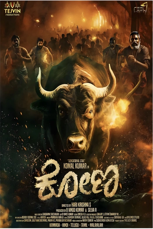 Kona poster