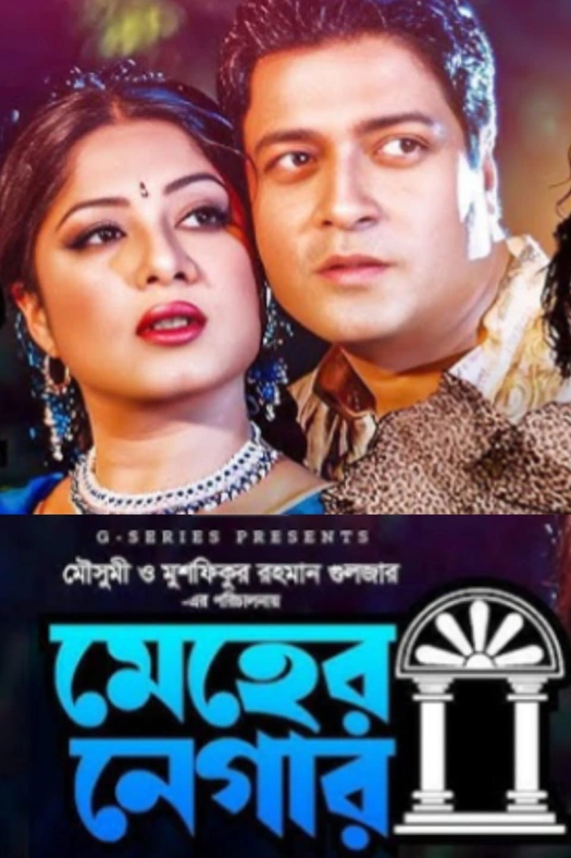Meher Negar poster