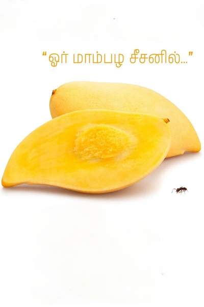 Or Mambala Seasonil