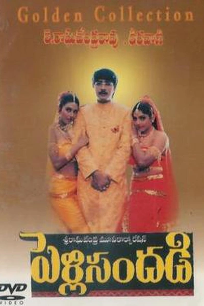 Pelli Sandadi