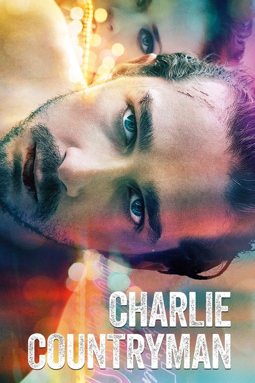 Ek Hazaaron Mein Meri Behna Hai poster